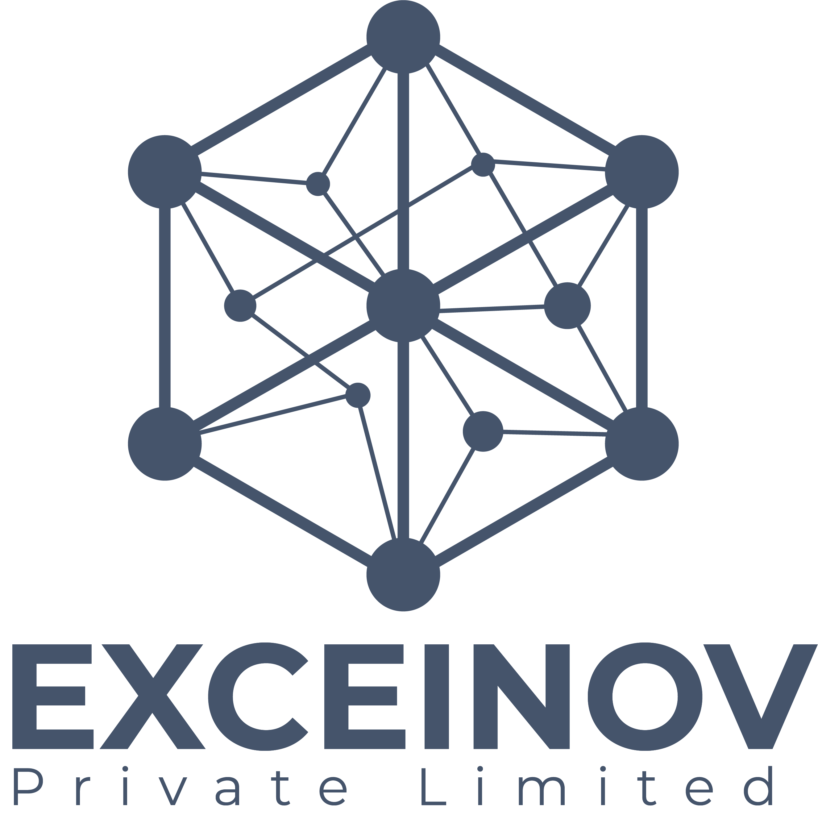 Exceinov